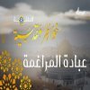 خواطر مقدسية 8 - عبادة المراغمة