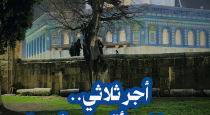 أجر ثلاثي .. رمضان وفجر والأقصى