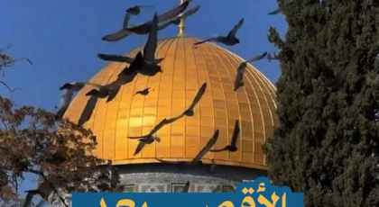 الأقصى بعد أيام منهكة